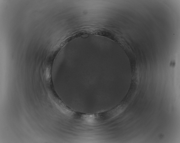 X0000115320131200911161754