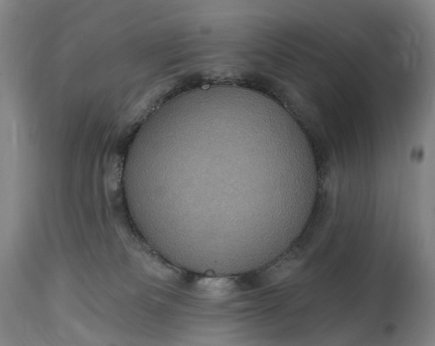 X0000115320133200911161754