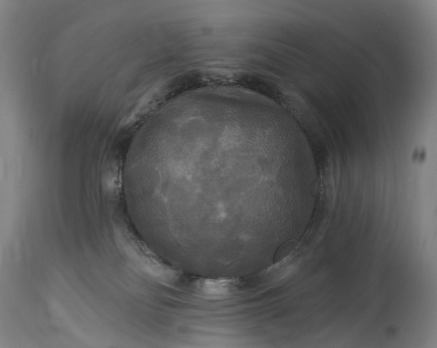 X0000115320134200911161754