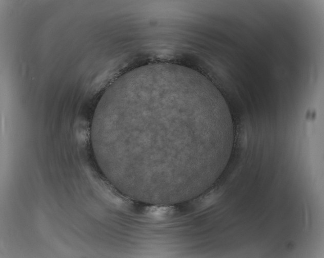 X0000115320135200911161754