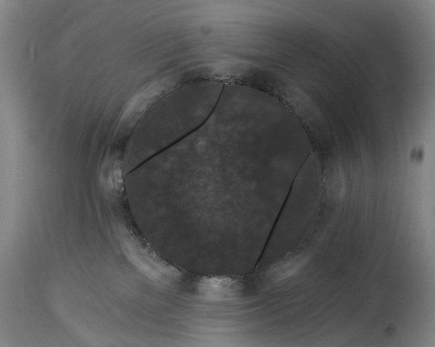 X0000115320137200911161754