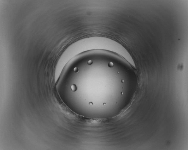 X0000115320140200911161754