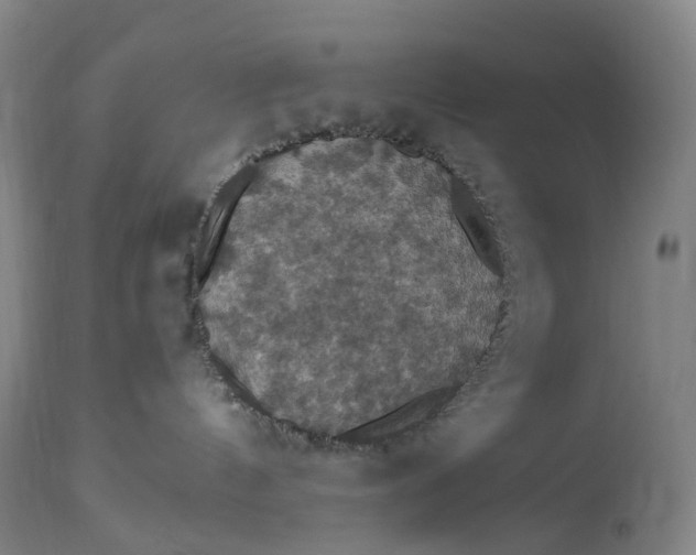 X0000115320144200911161754