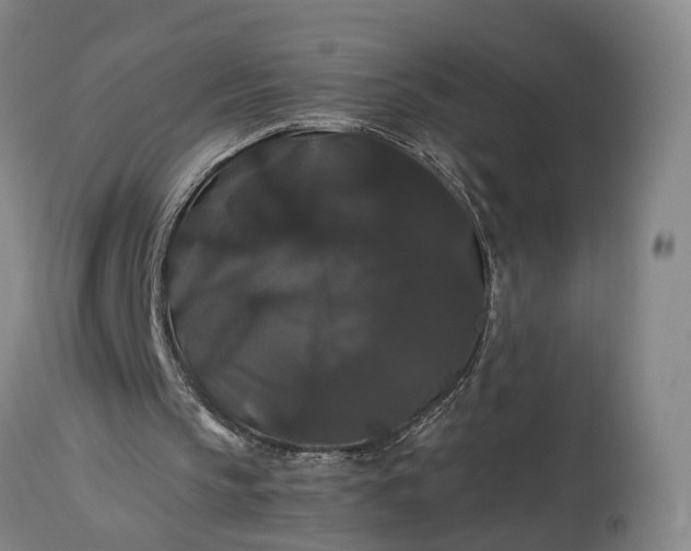 X0000115320145200911161753