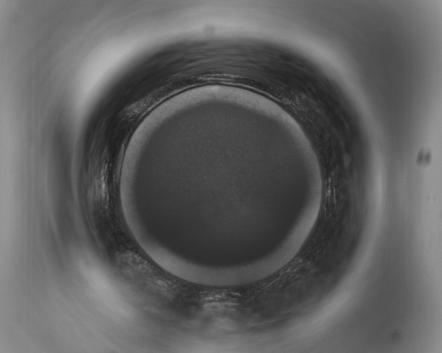 X0000115320146200911161753