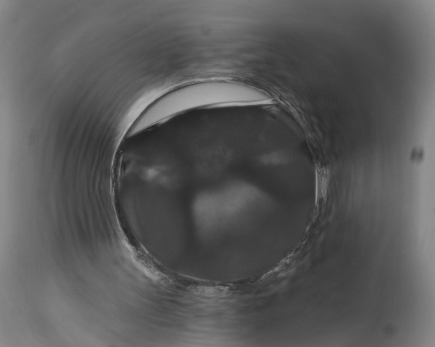 X0000115320147200911161753