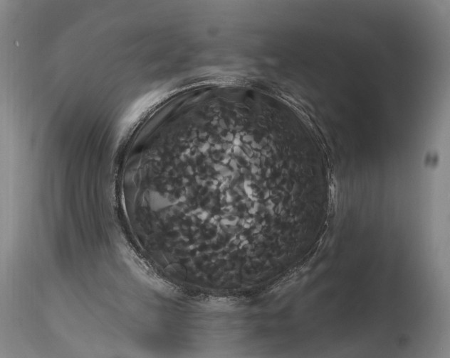 X0000115320149200911161753