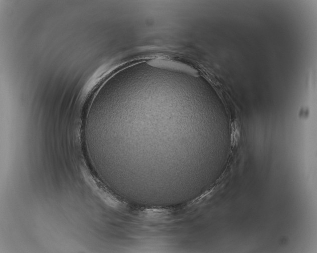 X0000115320150200911161753