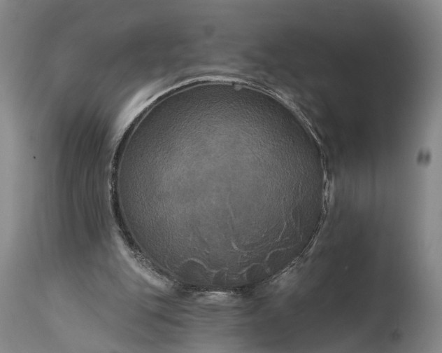 X0000115320151200911161753