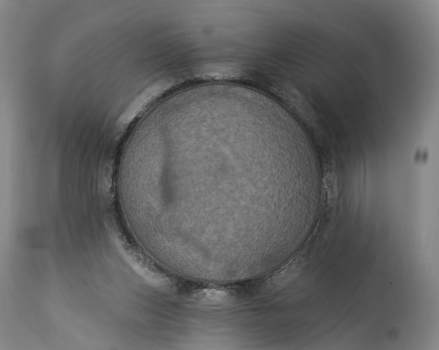 X0000115320159200911161754