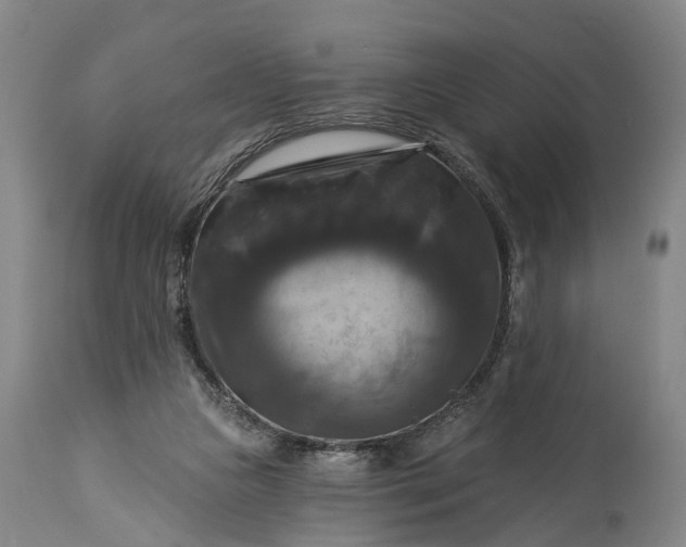 X0000115320161200911161754