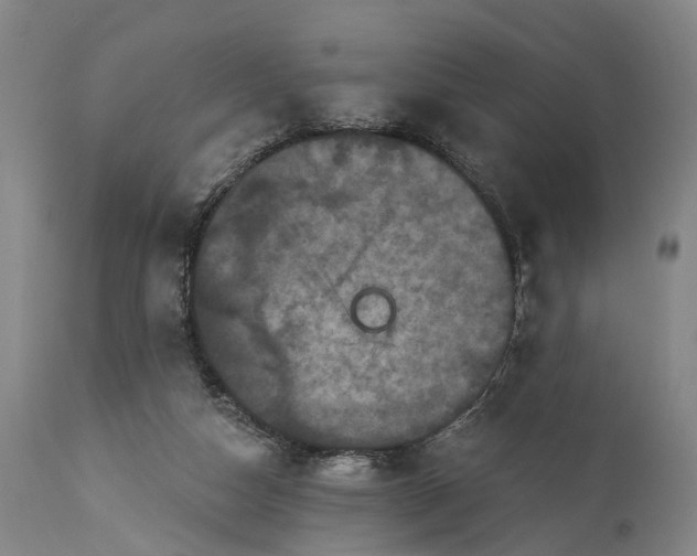 X0000115320162200911161754