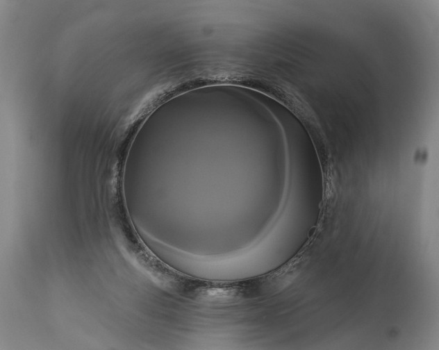 X0000115320163200911161754