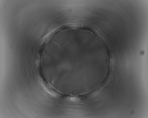 X0000115320165200911161754