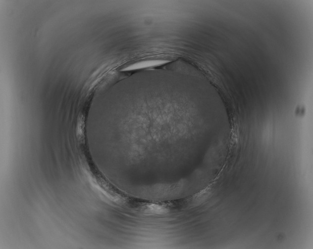 X0000115320166200911161754