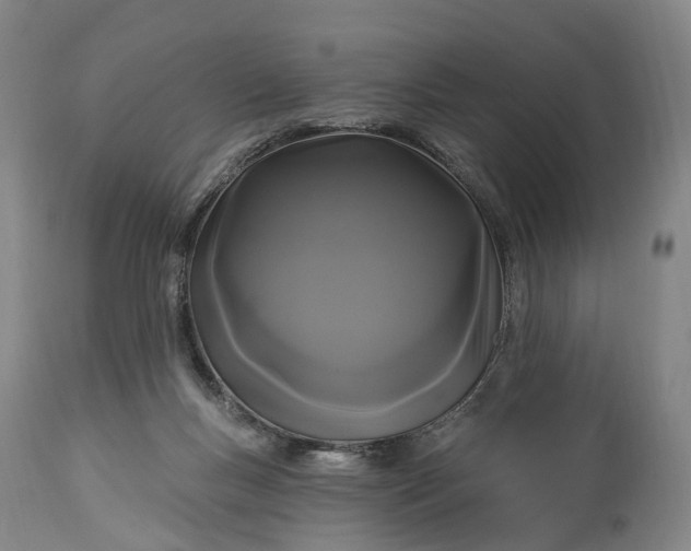 X0000115320167200911161754