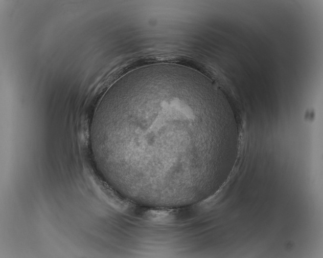 X0000115320170200911161754