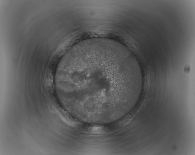 X0000115320173200911161754