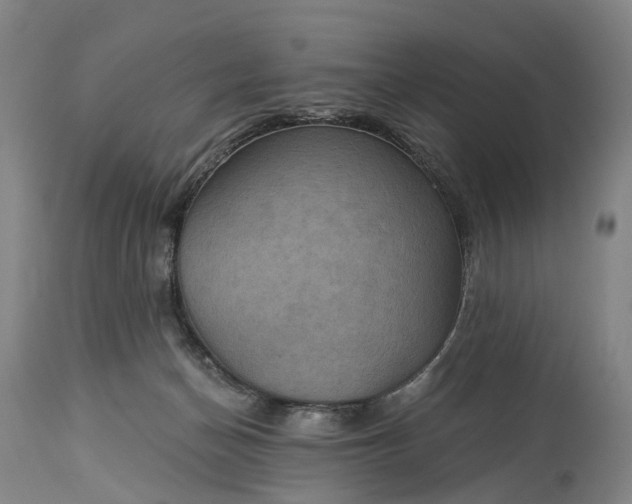 X0000115320174200911161754