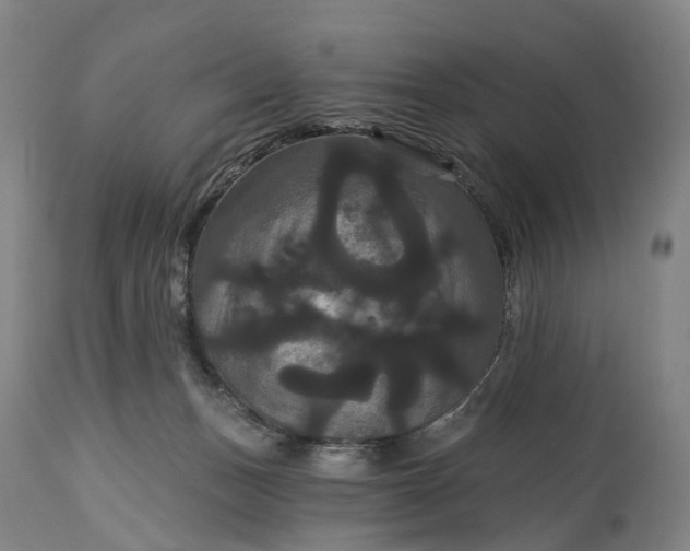 X0000115320175200911161754