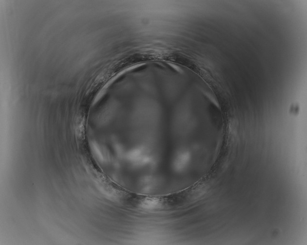 X0000115320177200911161754