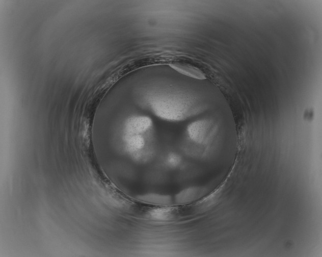 X0000115320178200911161754