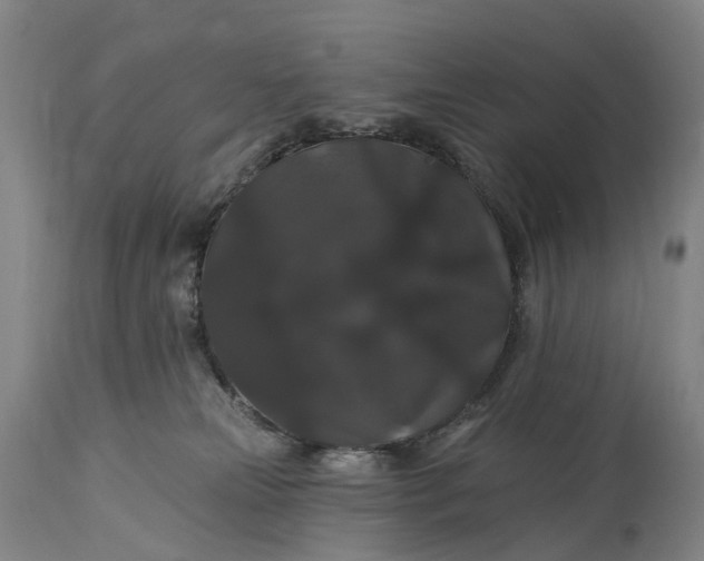 X0000115320181200911161754