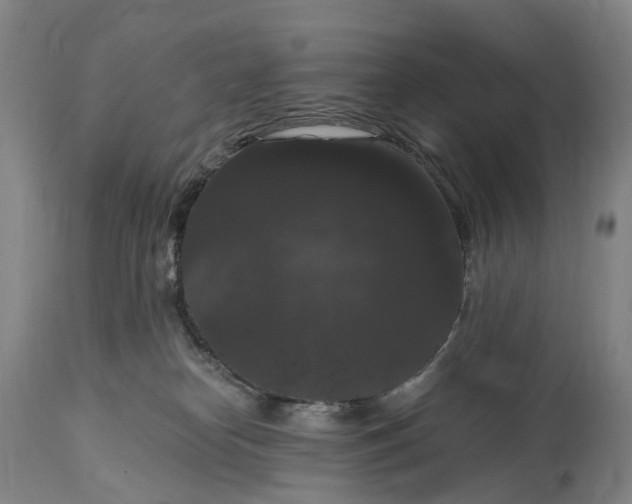 X0000115320182200911161754