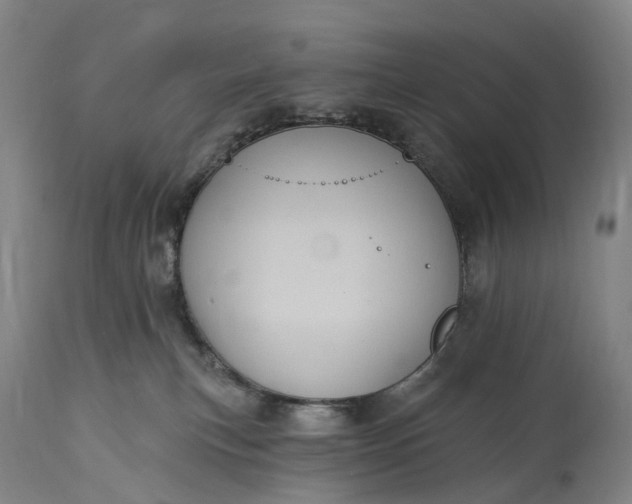 X0000115320183200911161754