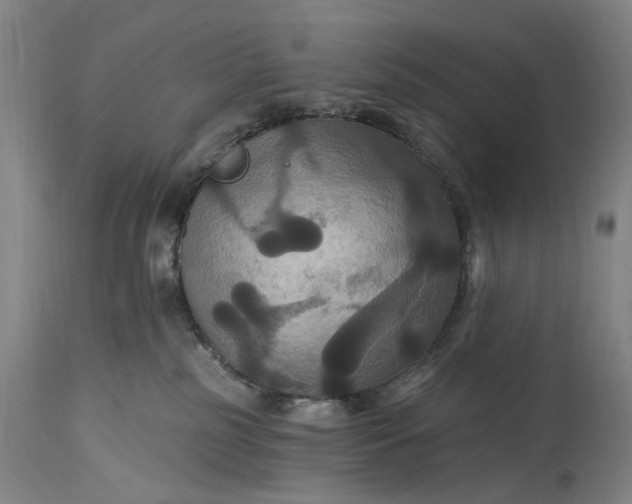 X0000115320185200911161754