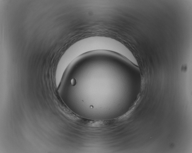 X0000115320186200911161754