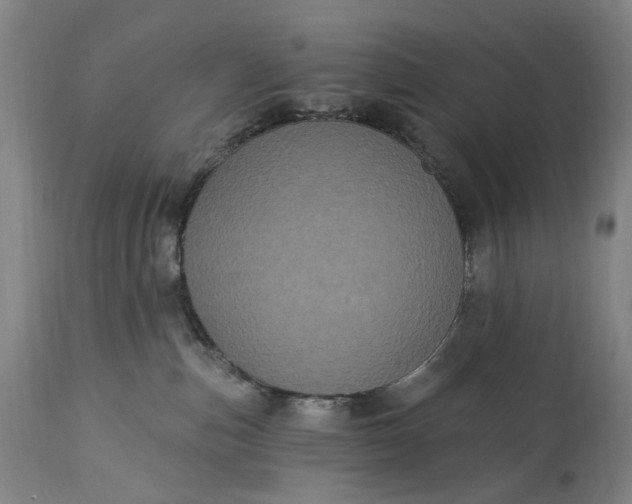 X0000115320187200911161754