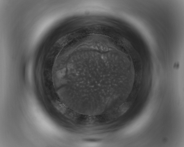 X0000115320189200911161754