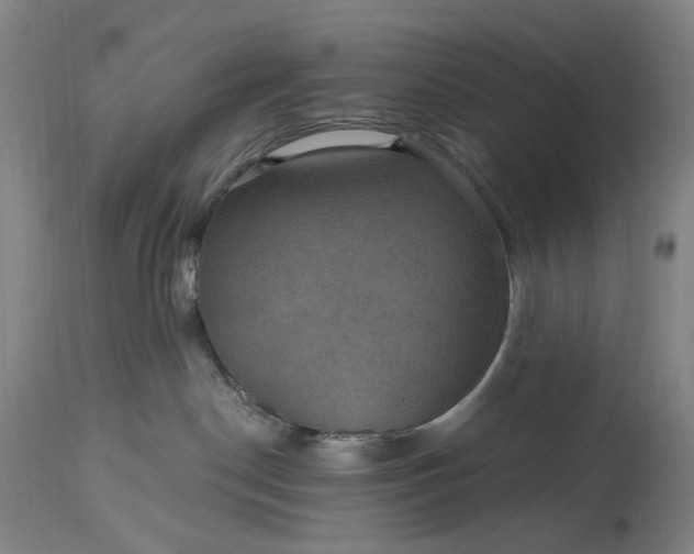 X0000115320190200911161754