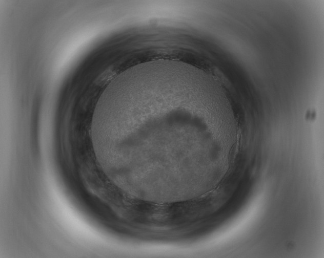 X0000115320191200911161754