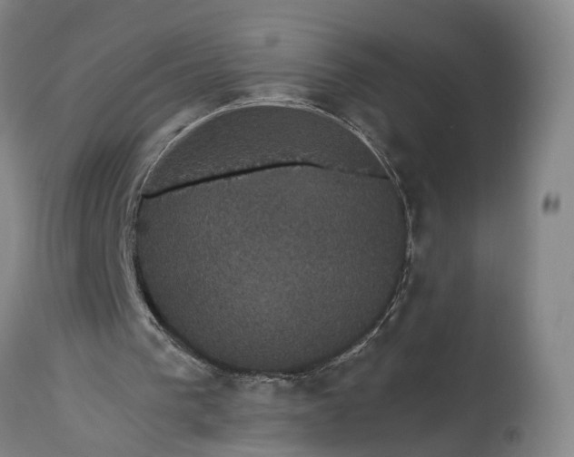 X0000115320193200911161753