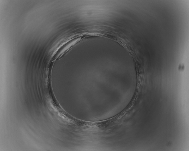 X0000115320194200911161753