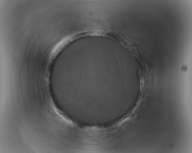 X0000115320197200911161753