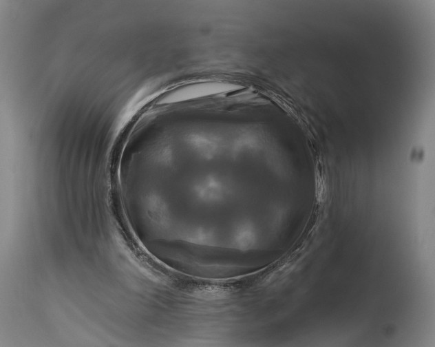 X0000115320198200911161753