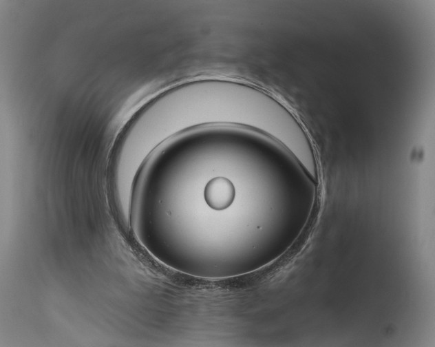 X0000115320199200911161753