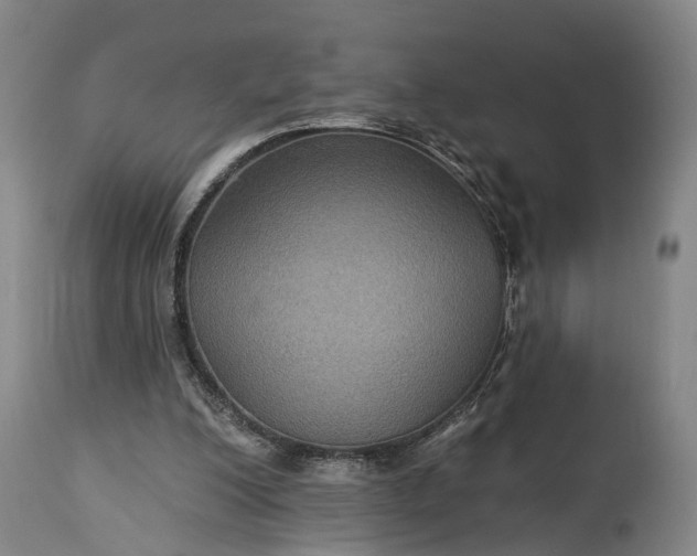 X0000115320200200911161753