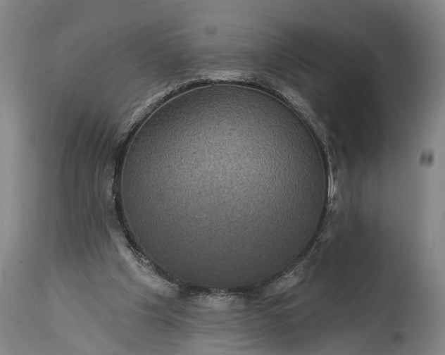 X0000115320201200911161753