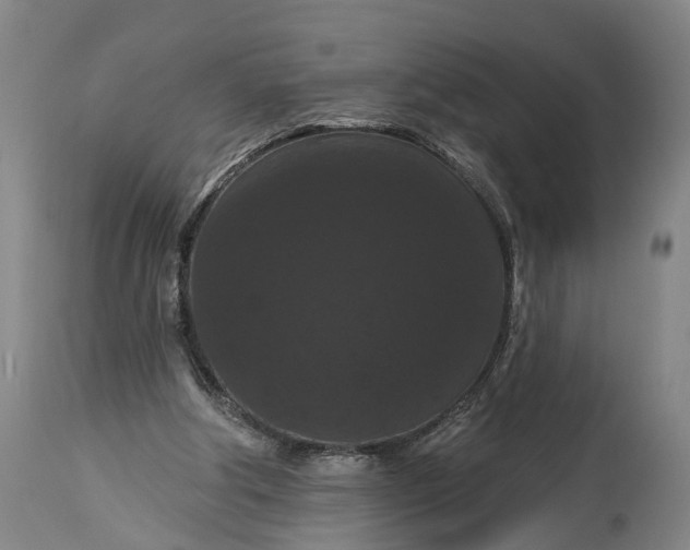 X0000115320202200911161753