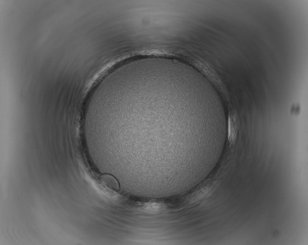 X0000115320204200911161753