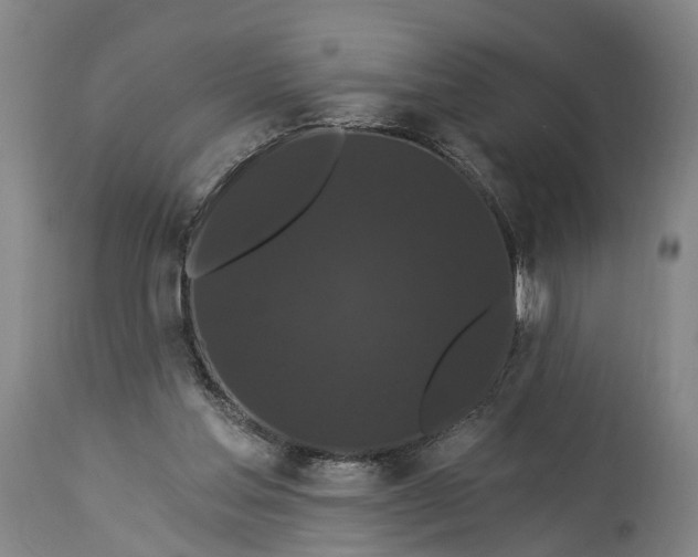 X0000115320205200911161753