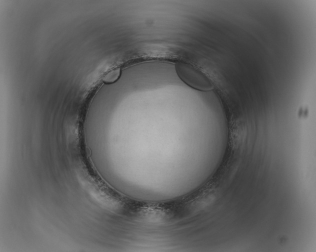 X0000115320207200911161753