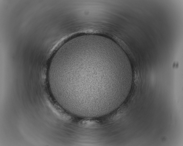 X0000115320208200911161753