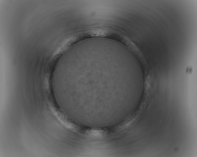 X0000115320209200911161753