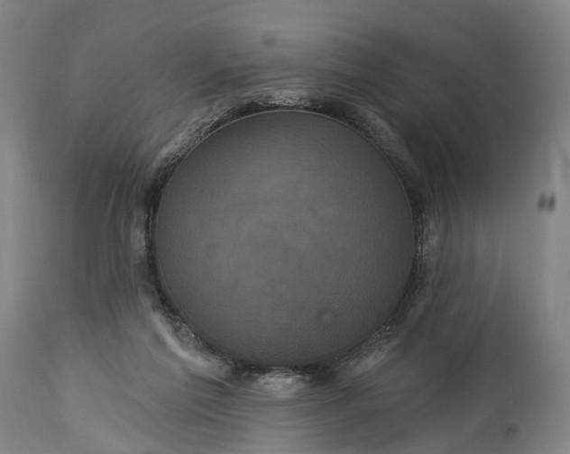 X0000115320213200911161753