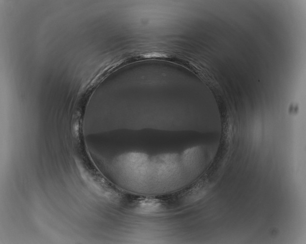 X0000115320214200911161753